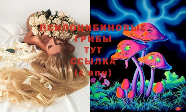 ешки Алексин