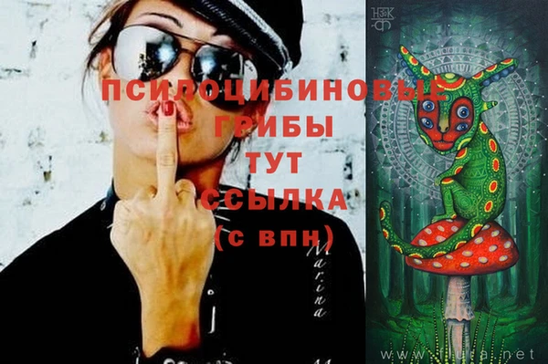 ешки Алексин